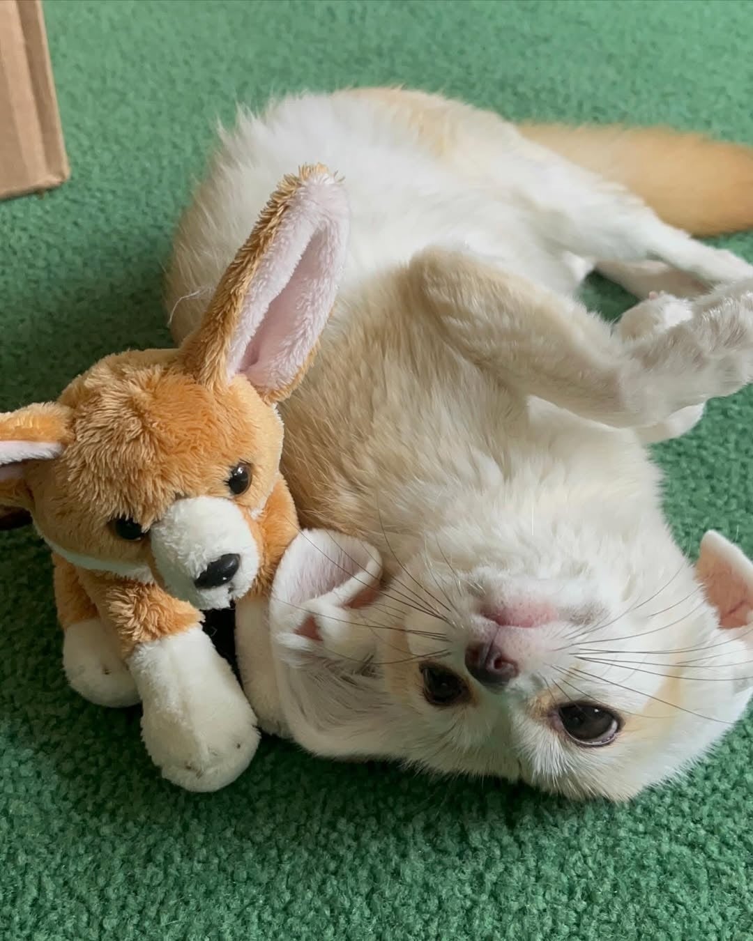 4番目のメイン画像