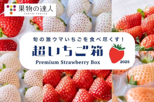 旬の激ウマいちごを食べ尽くす「超いちご箱」2025！専門家による厳選
