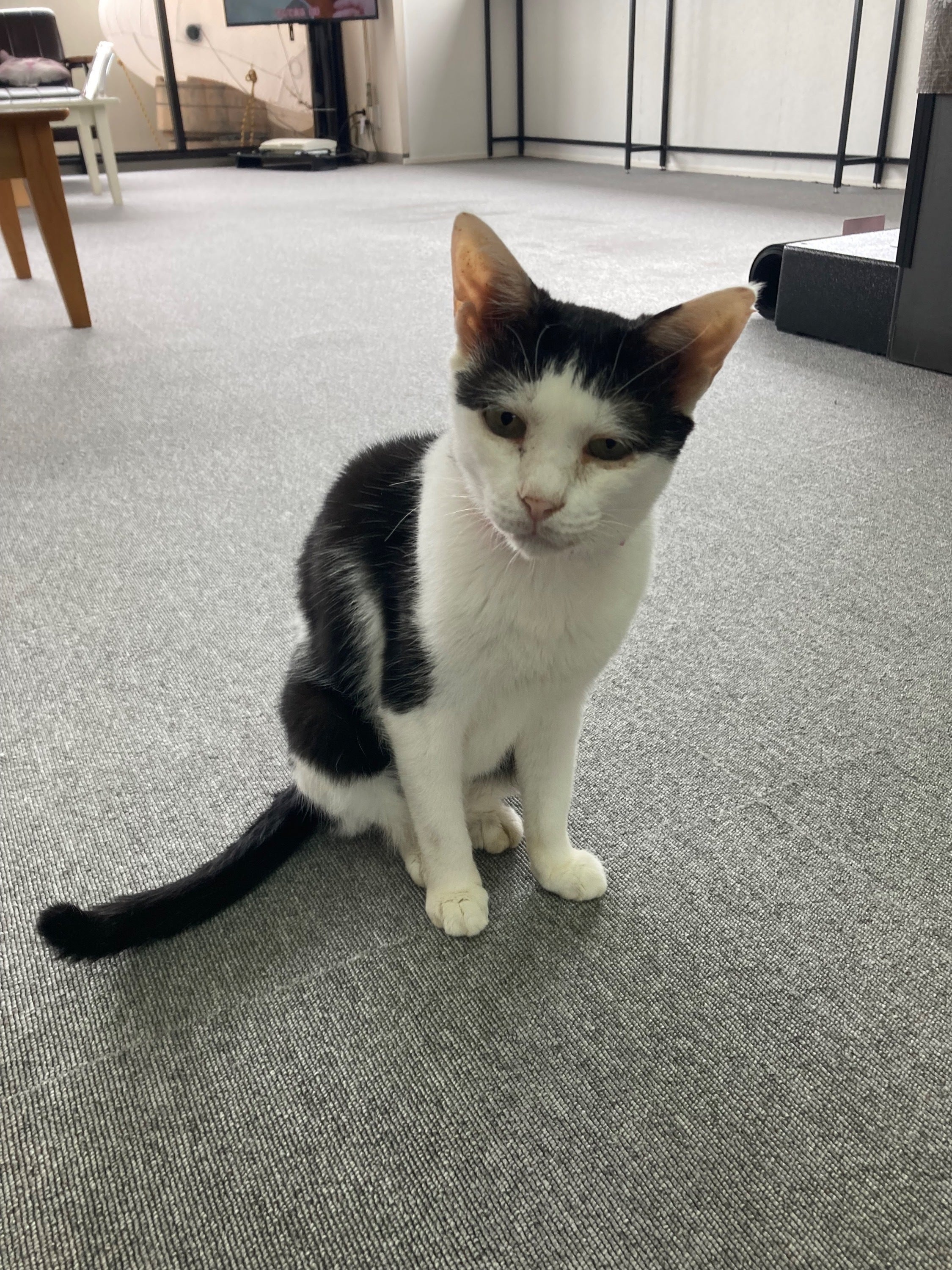 5番目のメイン画像