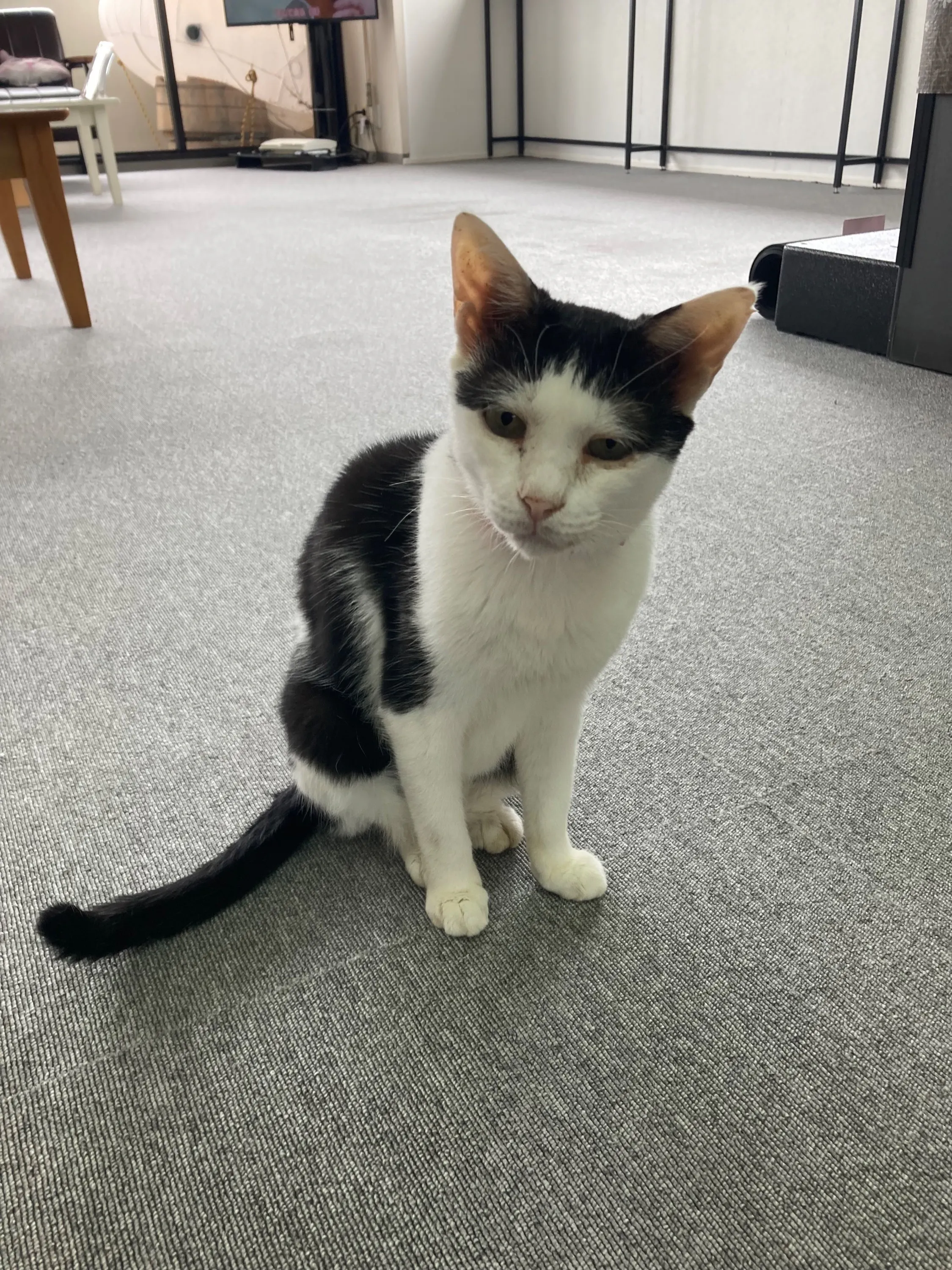 5番目のメイン画像