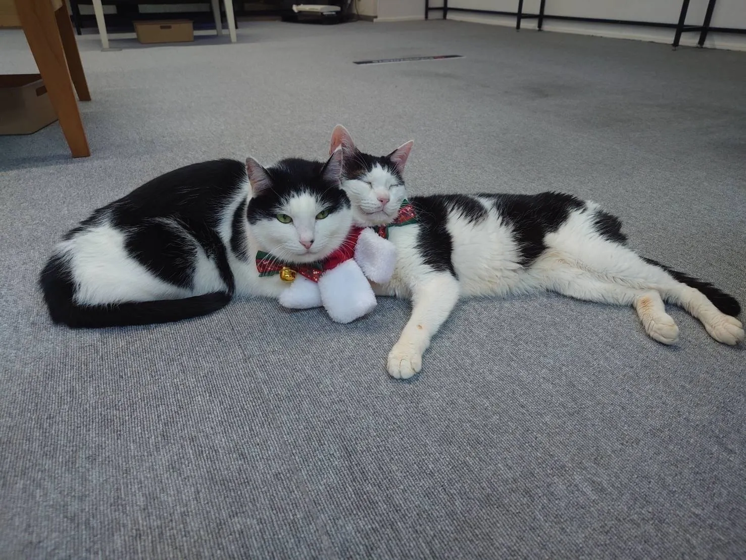 4番目のメイン画像