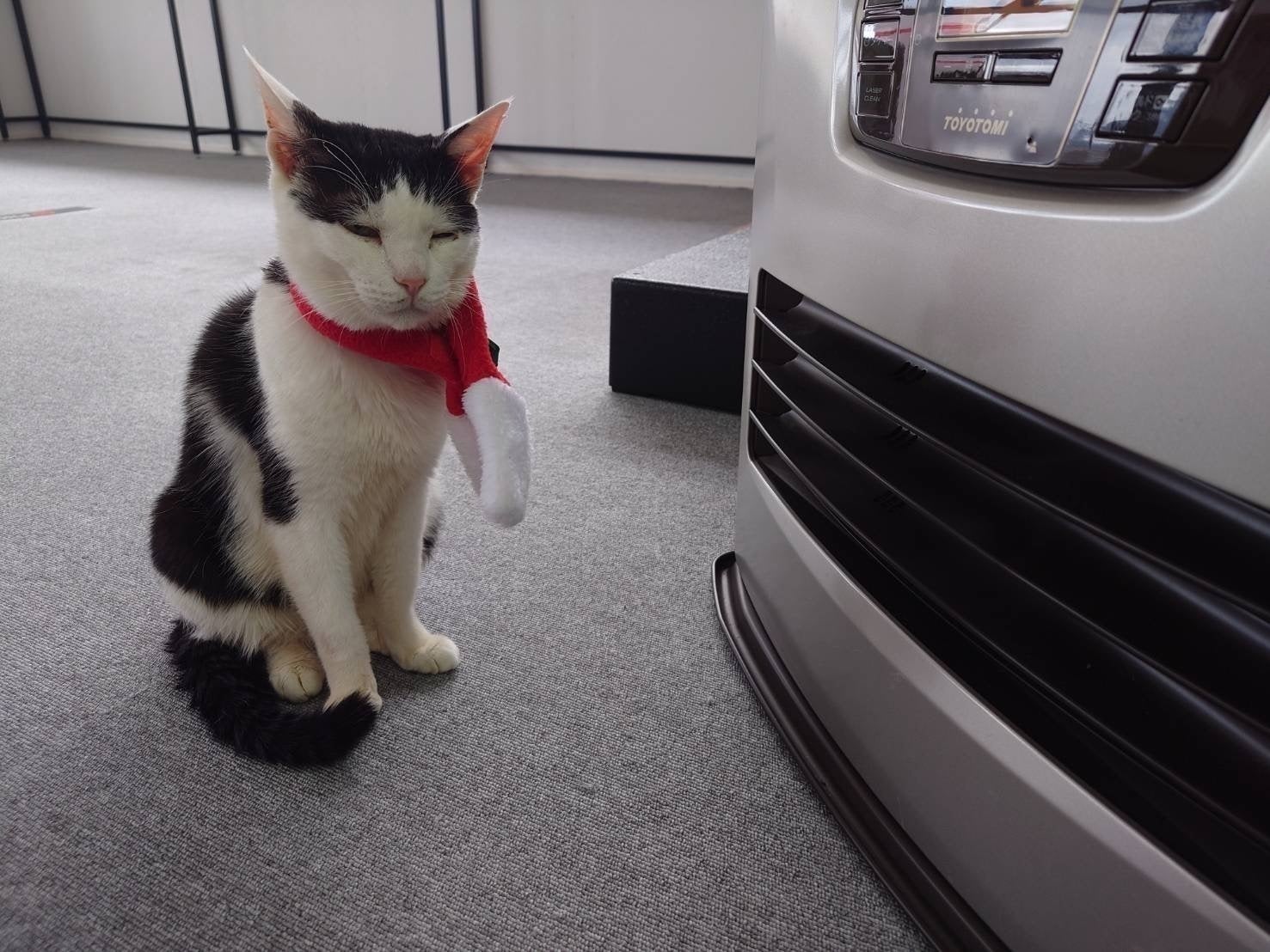 2番目のメイン画像