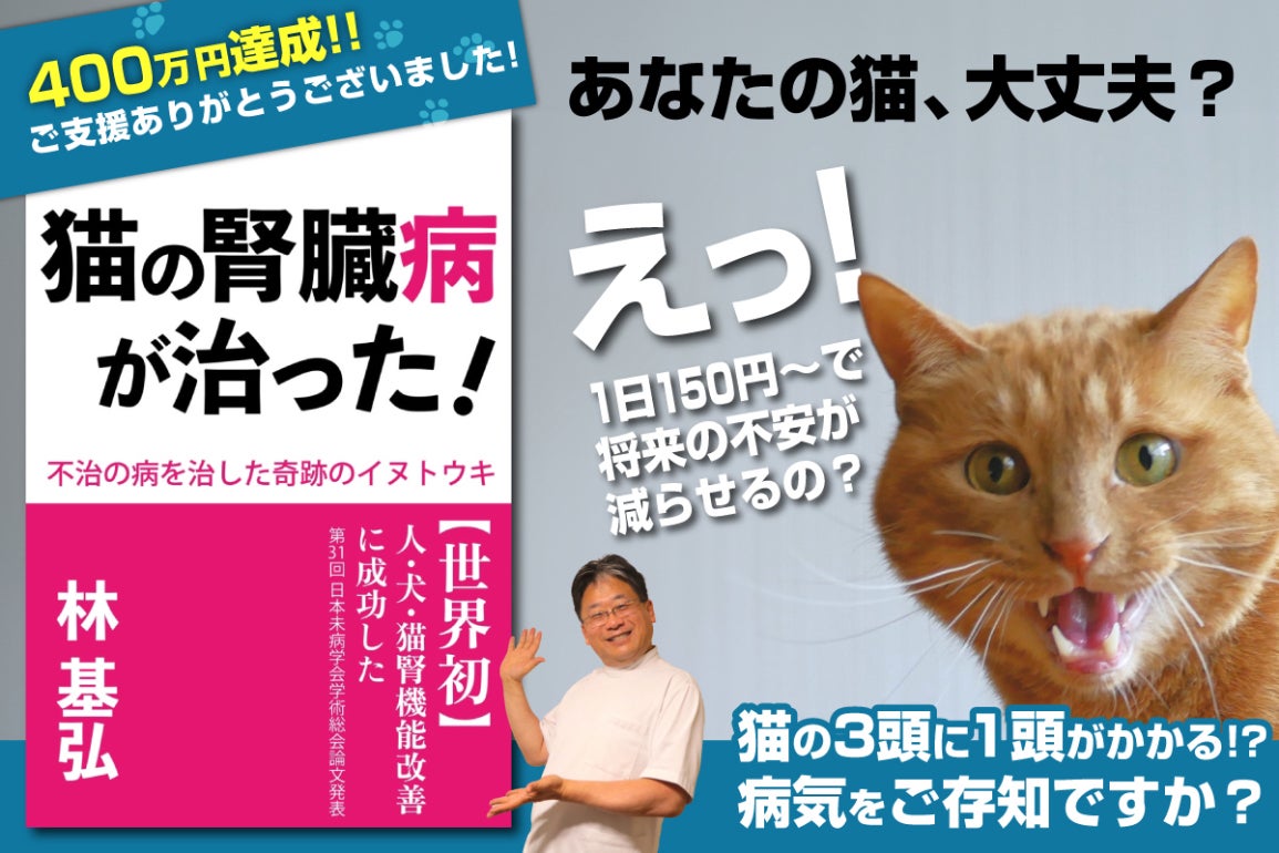 JINパワー100 犬猫 腎臓 イヌトウキ サプリ 楽天市場】5歳からのケア 『JINパワー100』 イヌトウキ 犬 猫 腎臓