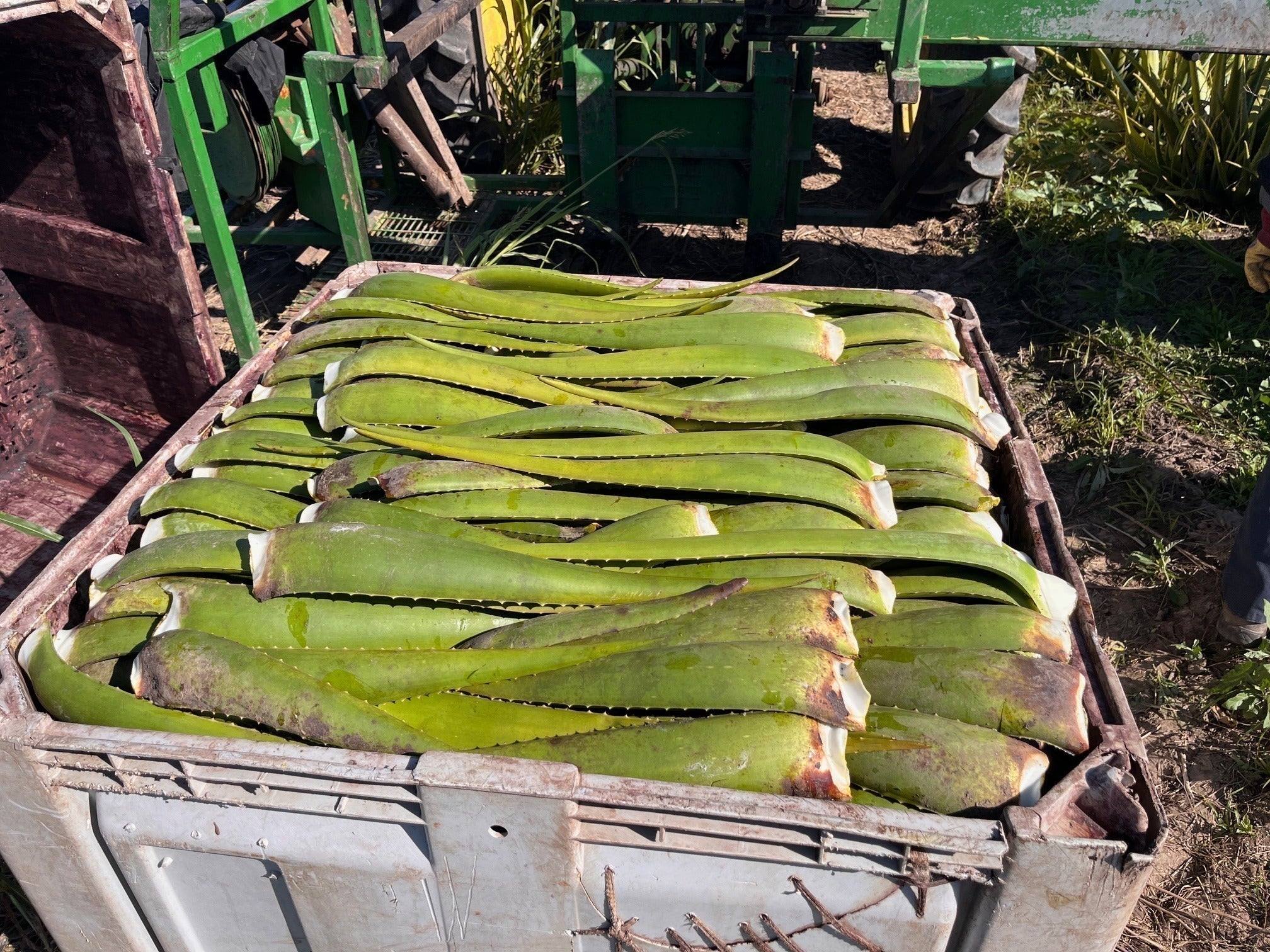 4番目のメイン画像