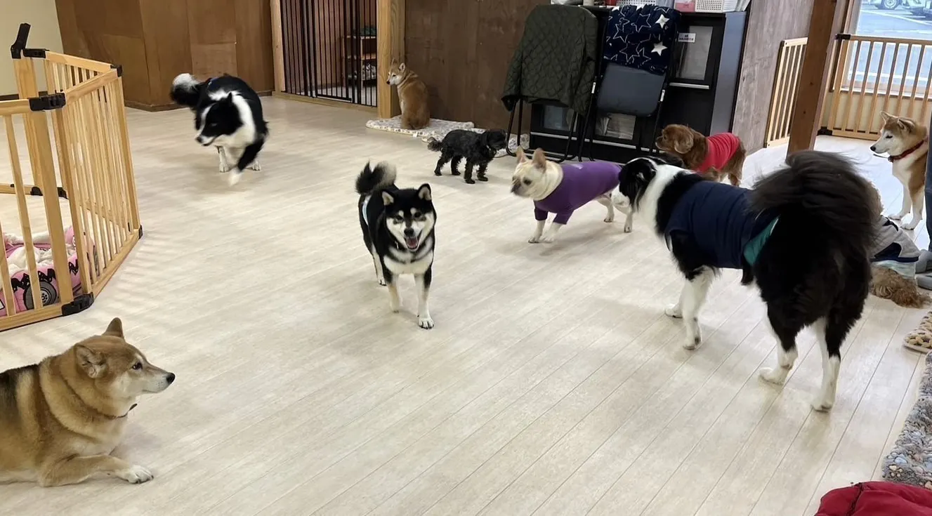 5番目のメイン画像