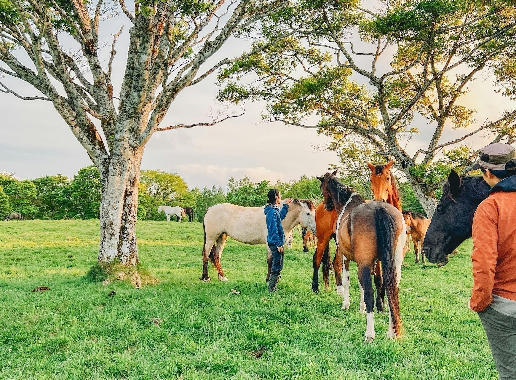 5番目のメイン画像