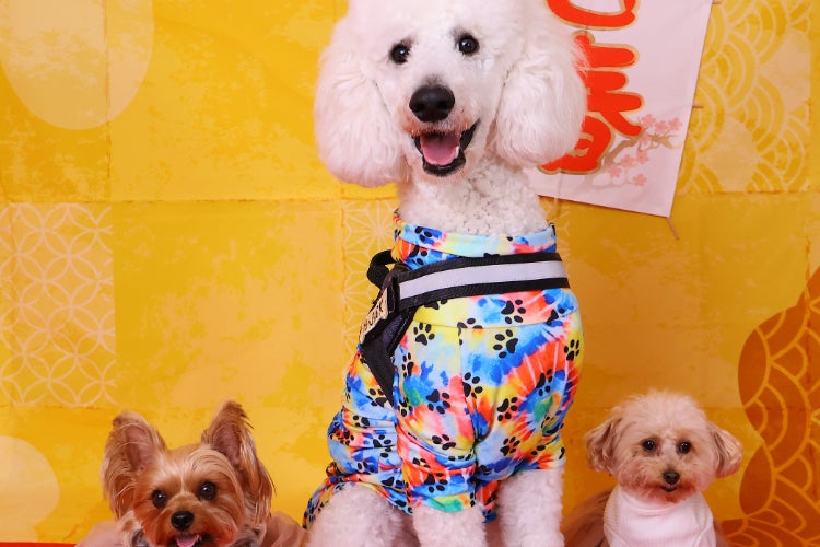 1番目のメイン画像