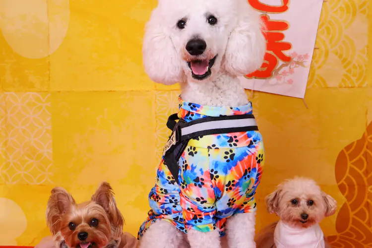 1番目のメイン画像