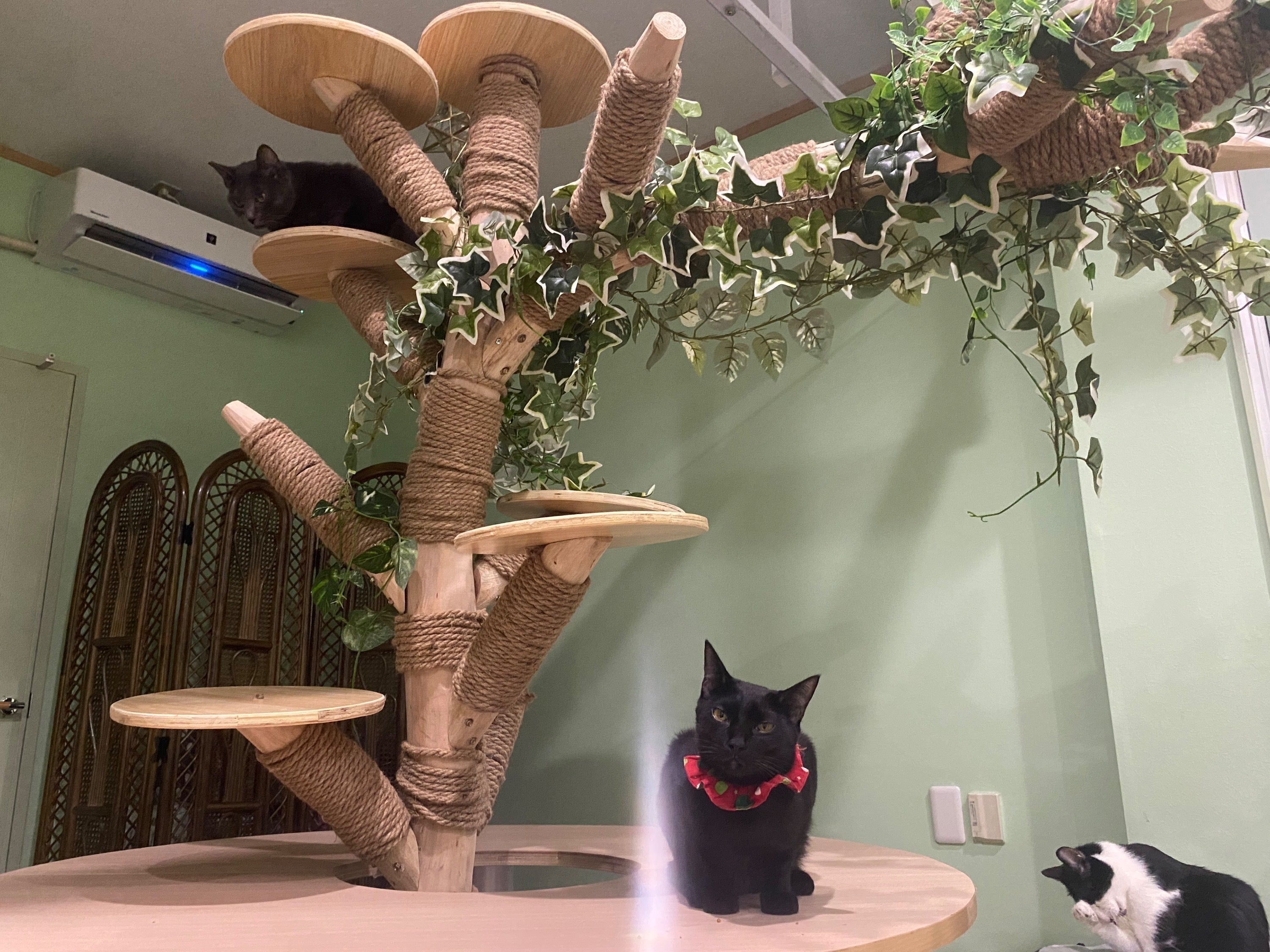 3番目のメイン画像