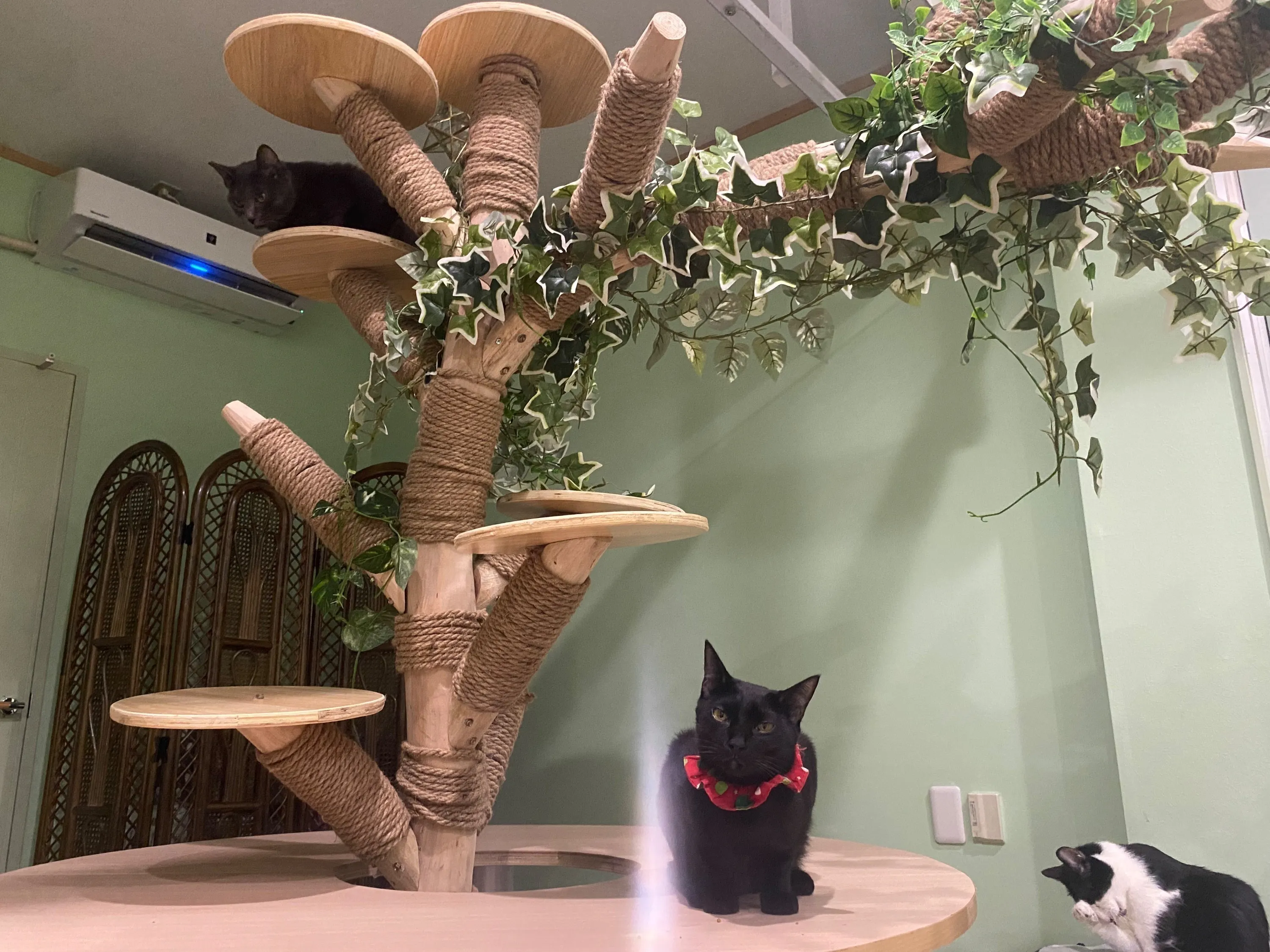 3番目のメイン画像