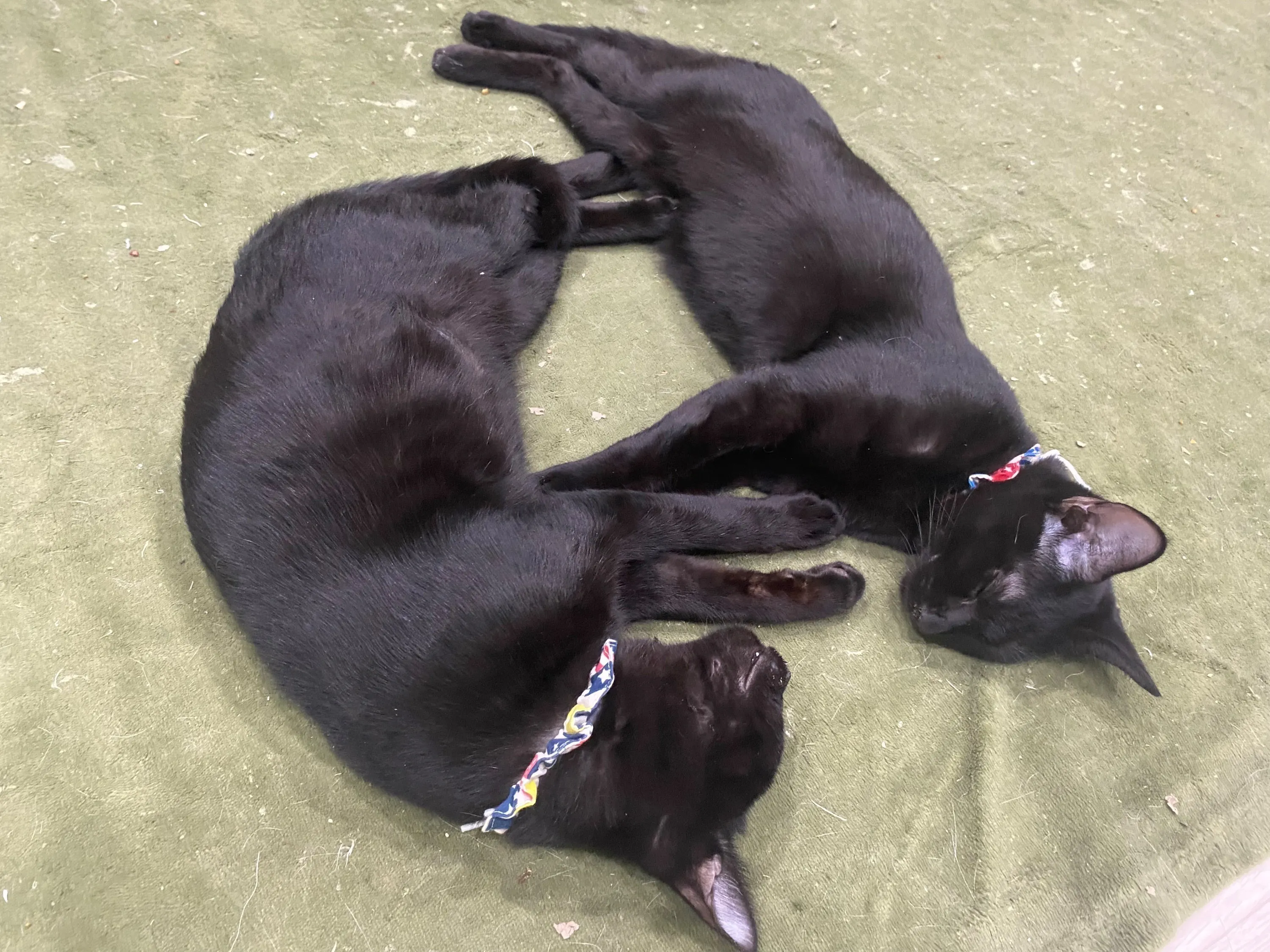 4番目のメイン画像