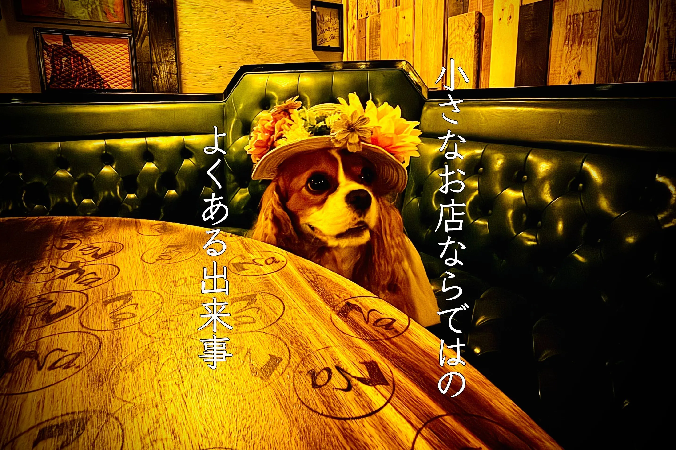 2番目のメイン画像