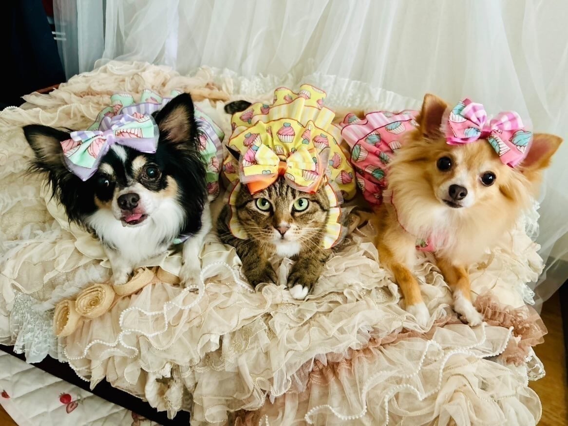 4番目のメイン画像