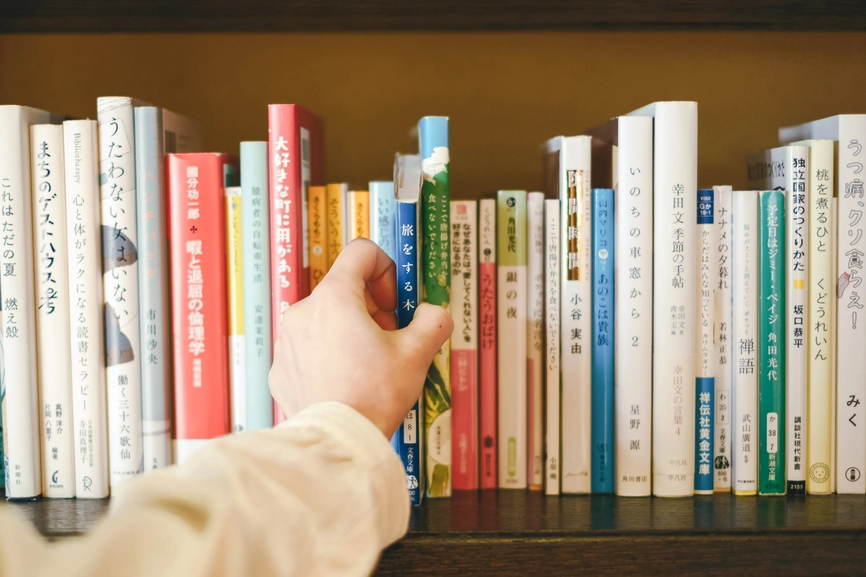 5番目のメイン画像