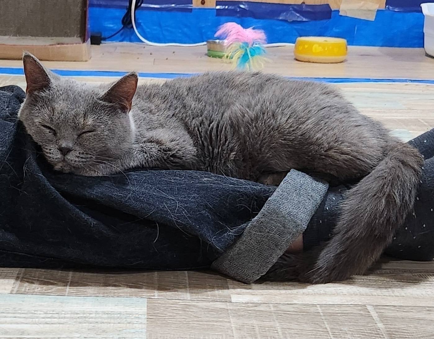 3番目のメイン画像