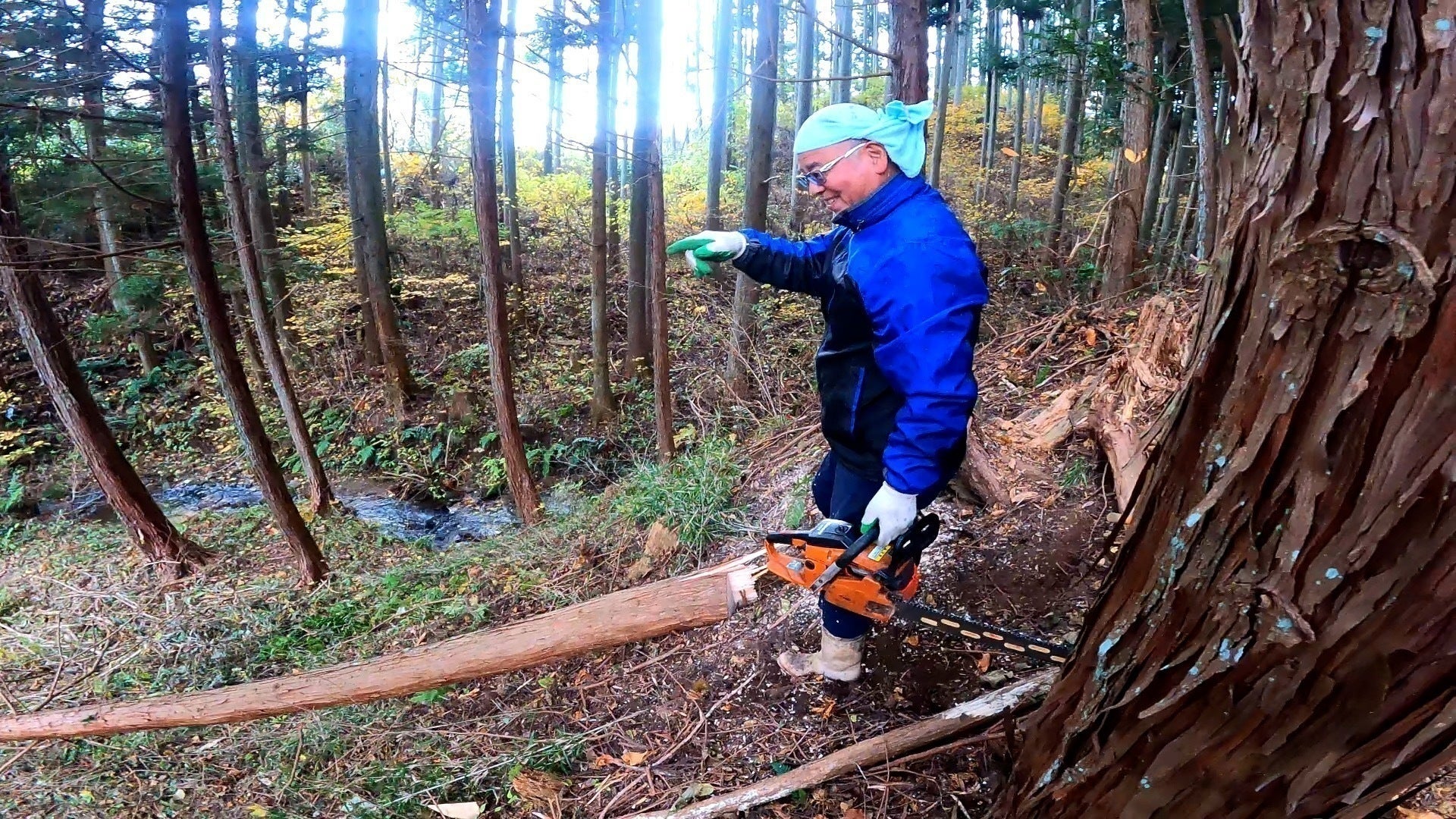 3番目のメイン画像