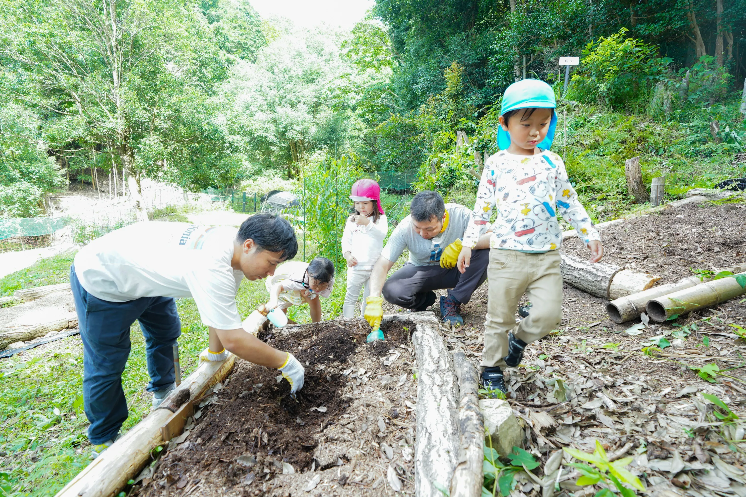 3番目のメイン画像