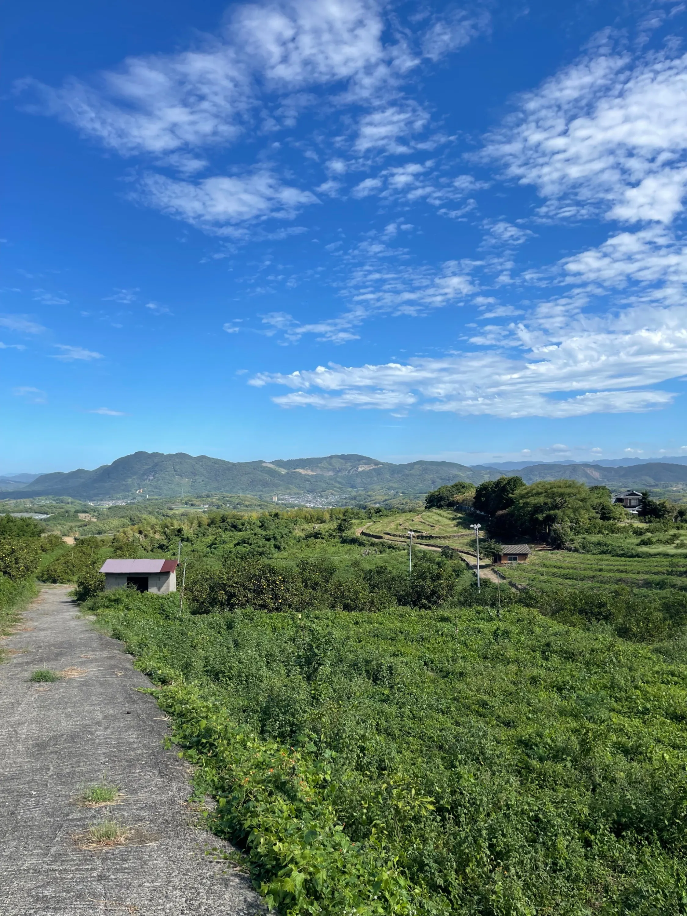 4番目のメイン画像