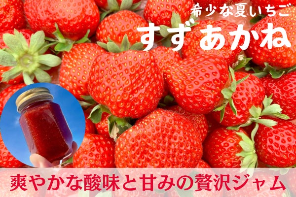 盛岡夏いちご】石川啄木に捧ぐ、持続可能な未来を創るいちごジャムを