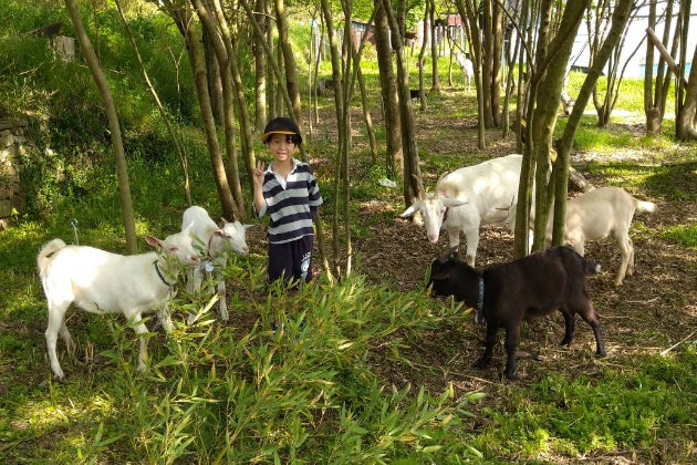 1番目のメイン画像