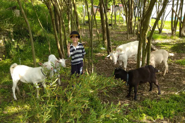 1番目のメイン画像