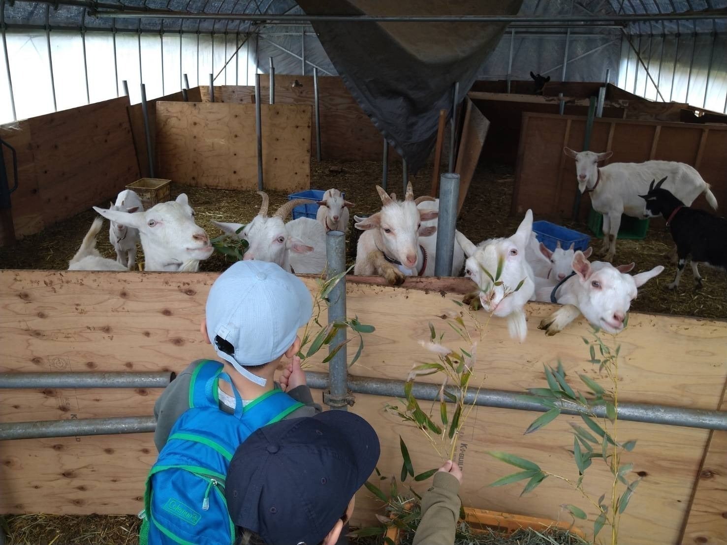 4番目のメイン画像