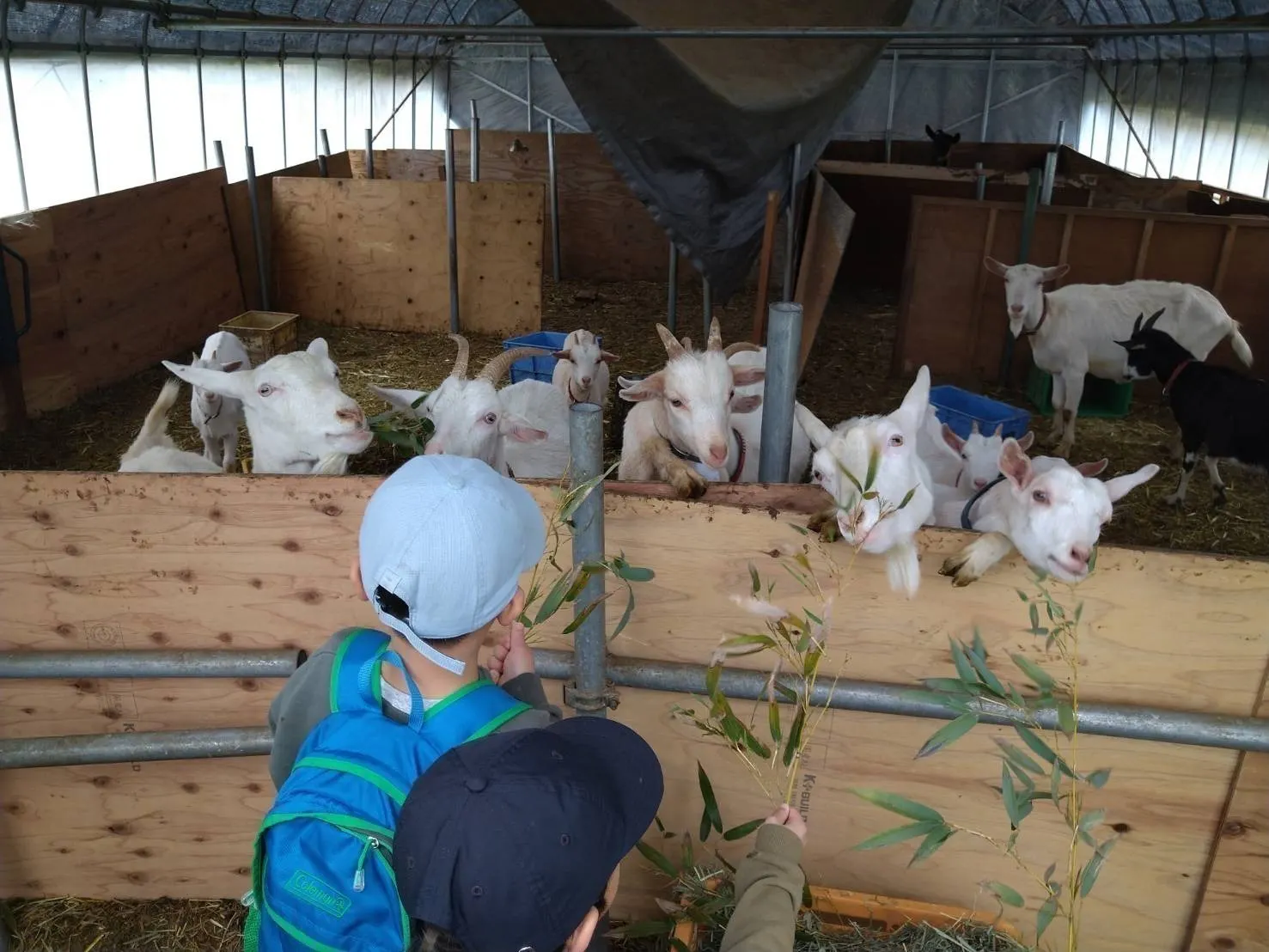 4番目のメイン画像