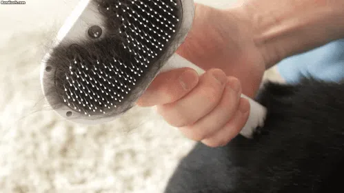 6番目のメイン画像