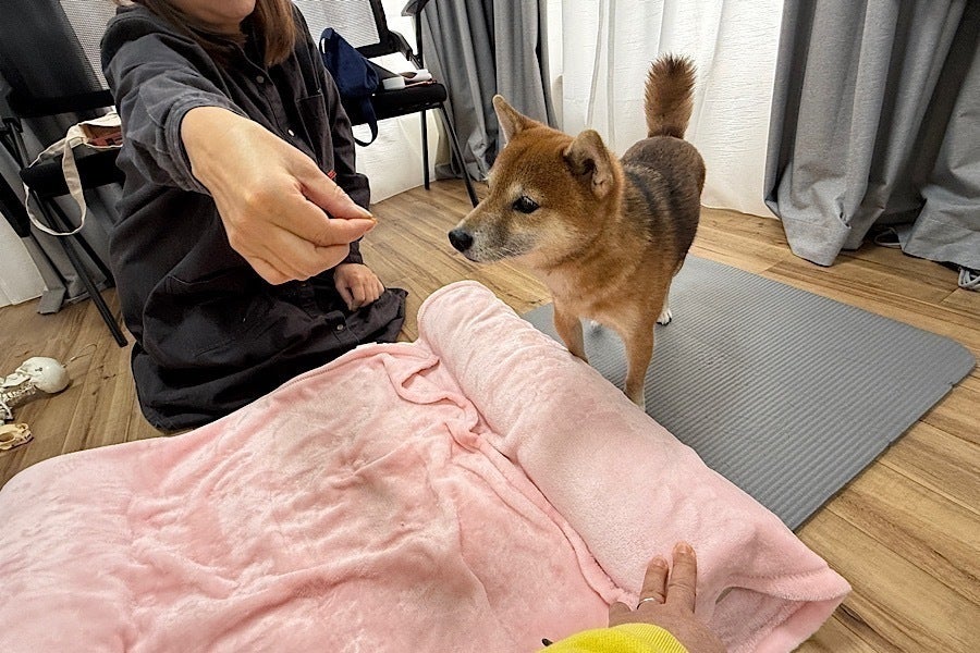 5番目のメイン画像