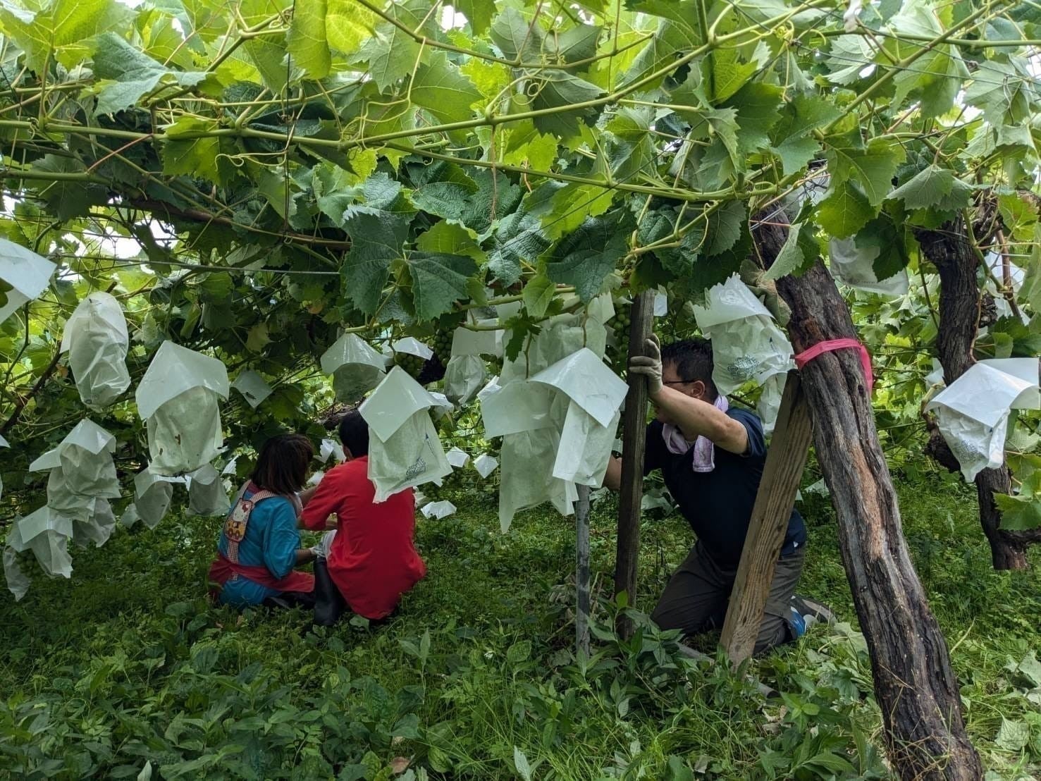 4番目のメイン画像