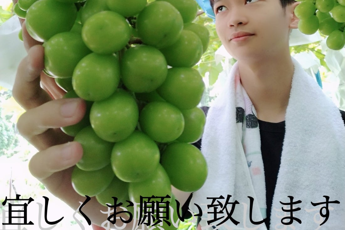 1番目のメイン画像