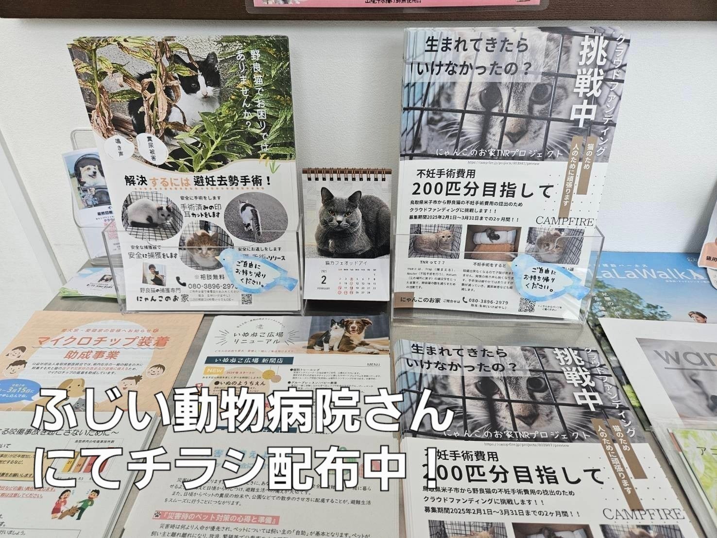 4番目のメイン画像