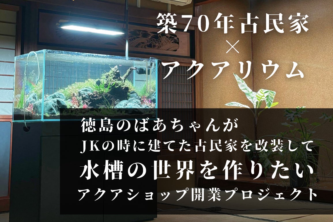徳島の古民家で輝く水槽の世界『アクアショップoAsis』誕生