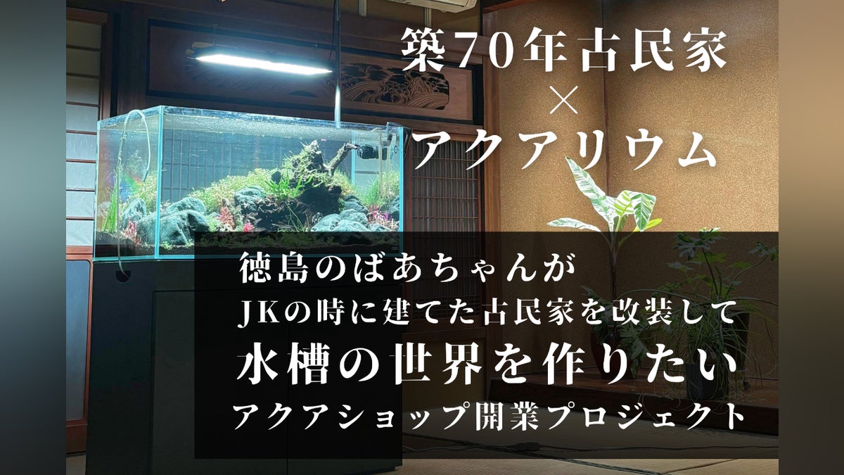 徳島の古民家で輝く水槽の世界『アクアショップoAsis』誕生 徳島の古民家で輝く水槽の世界『アクアショップoAsis』誕生