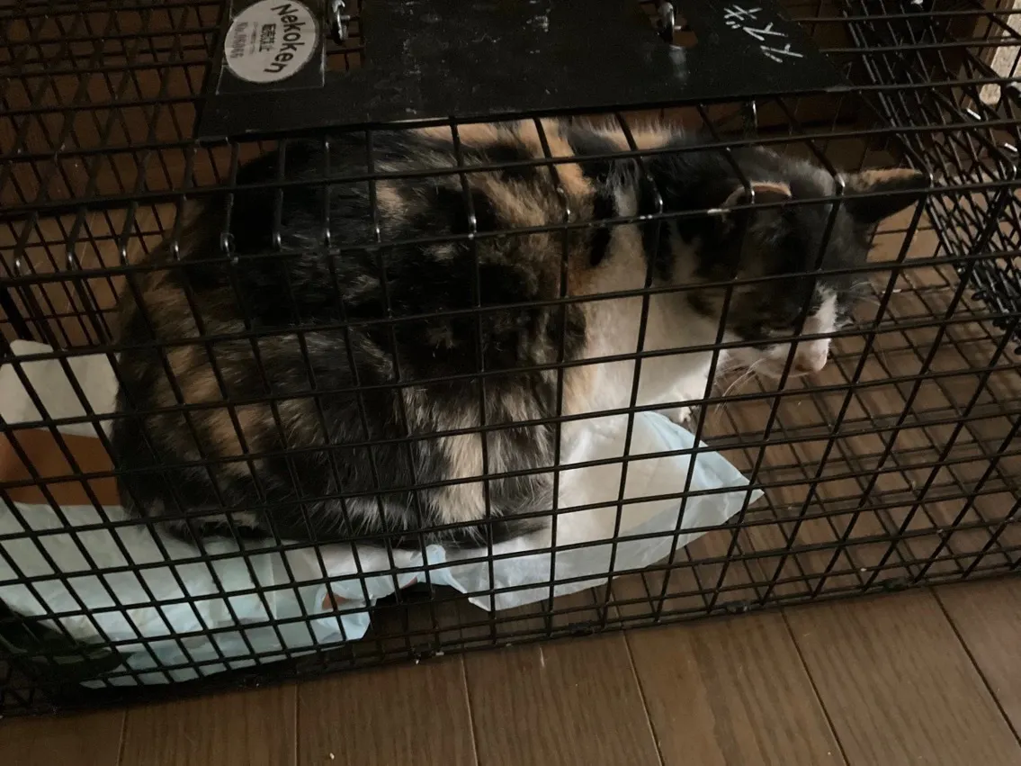 3番目のメイン画像