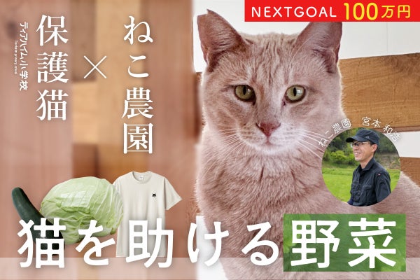 ねこ農園の野菜で保護猫を助けたい - CAMPFIRE (キャンプファイヤー)