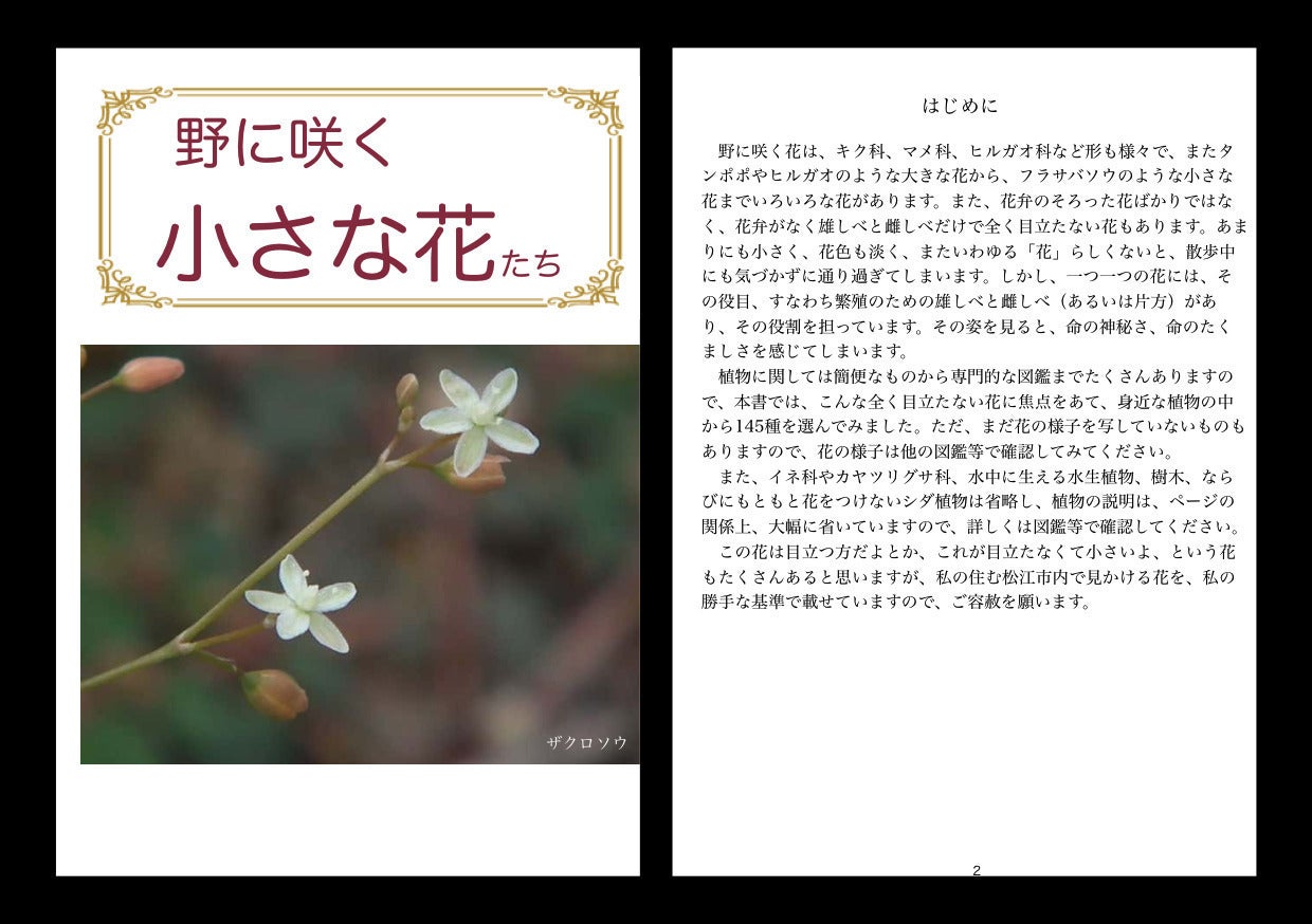 2番目のメイン画像