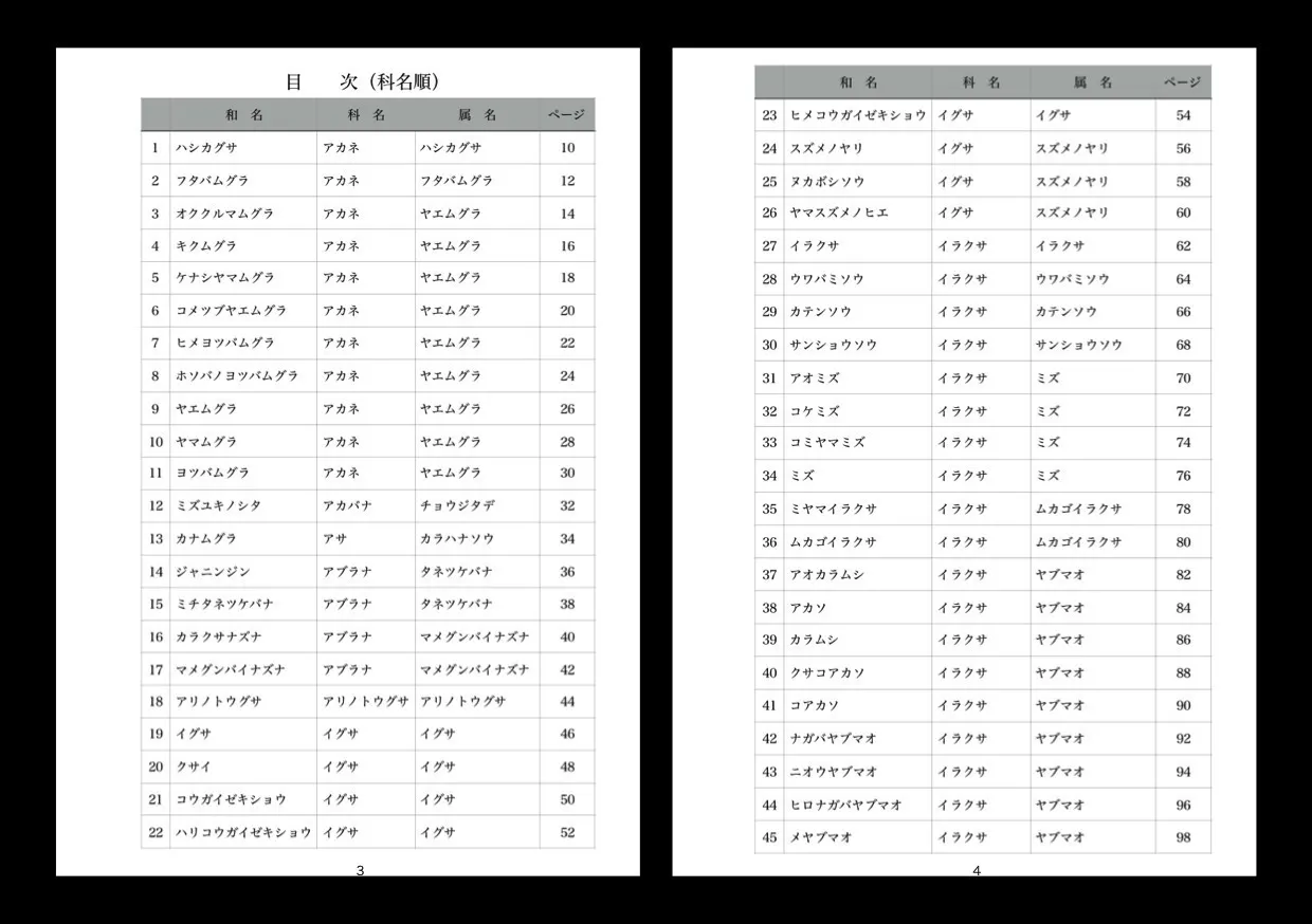 3番目のメイン画像
