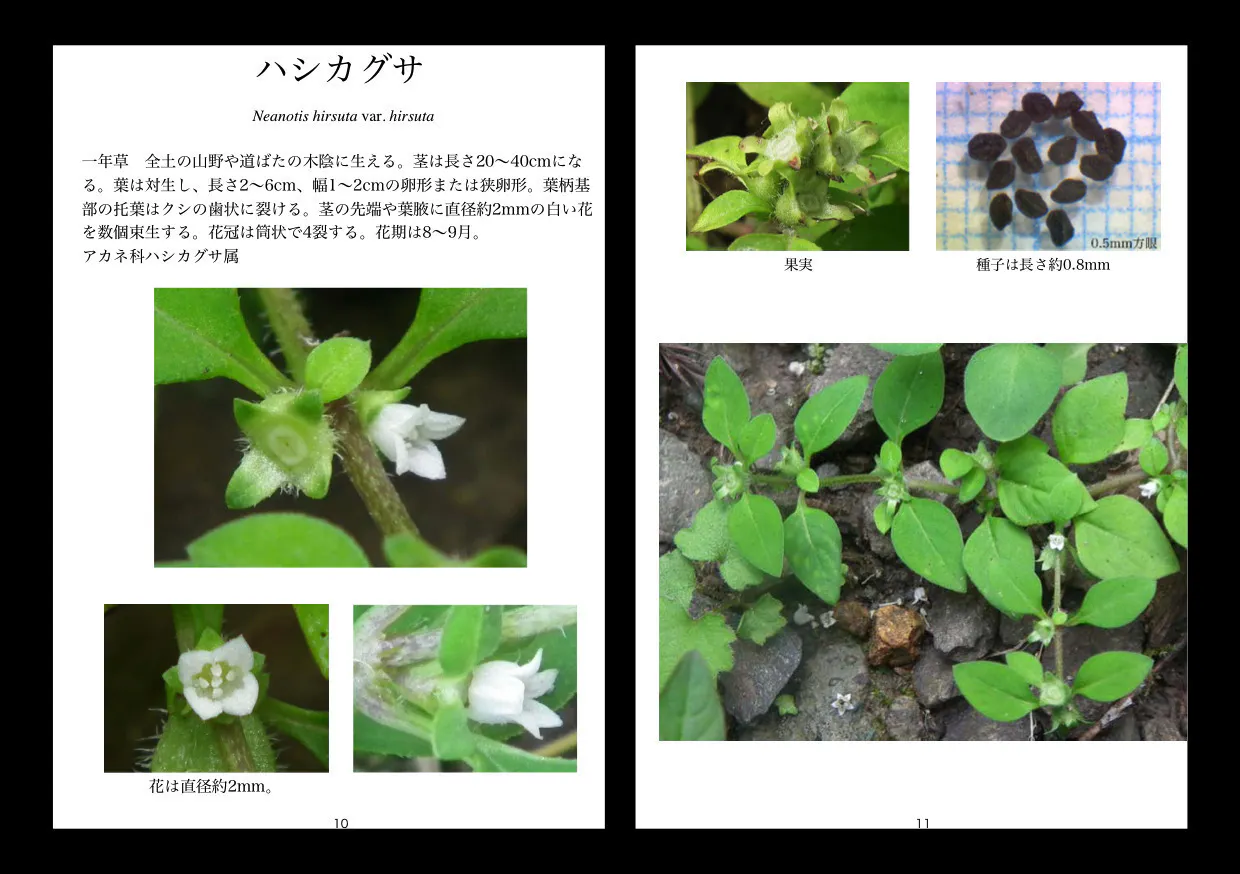 4番目のメイン画像