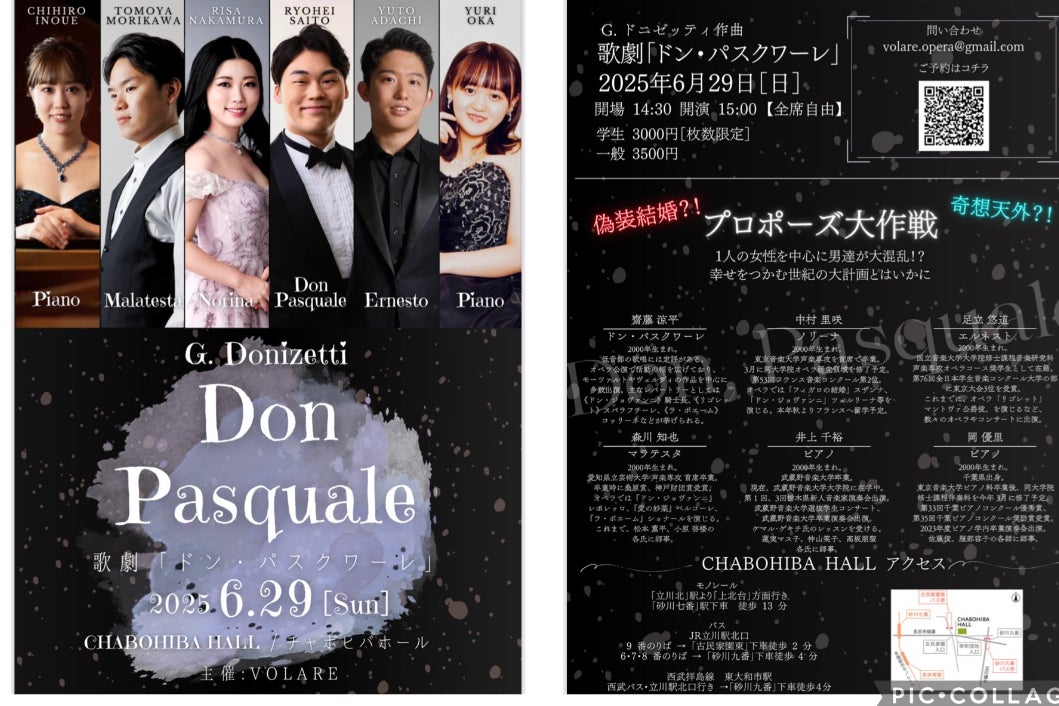 ドニゼッティ:ドン・パスクワーレ(グラインドボーン音楽祭2013)[Blu