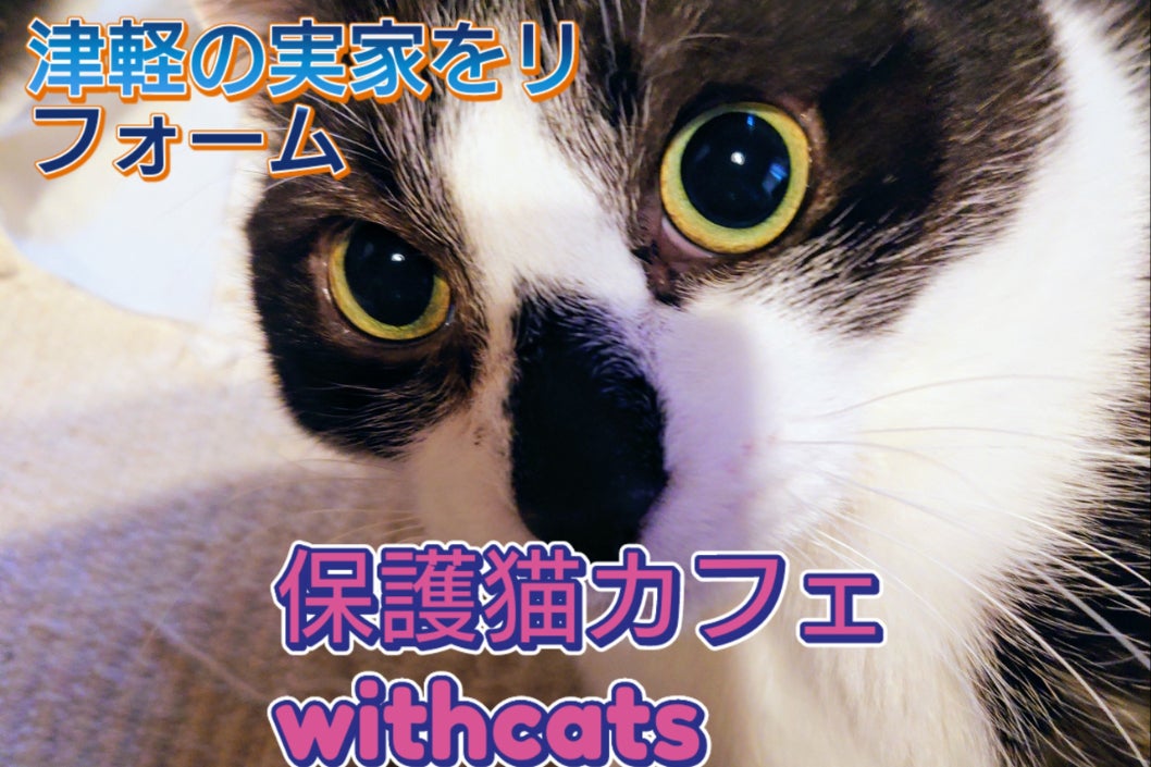 南津軽の実家を猫カフェに！青森県の猫殺処分0を目指して！ - CAMPFIRE