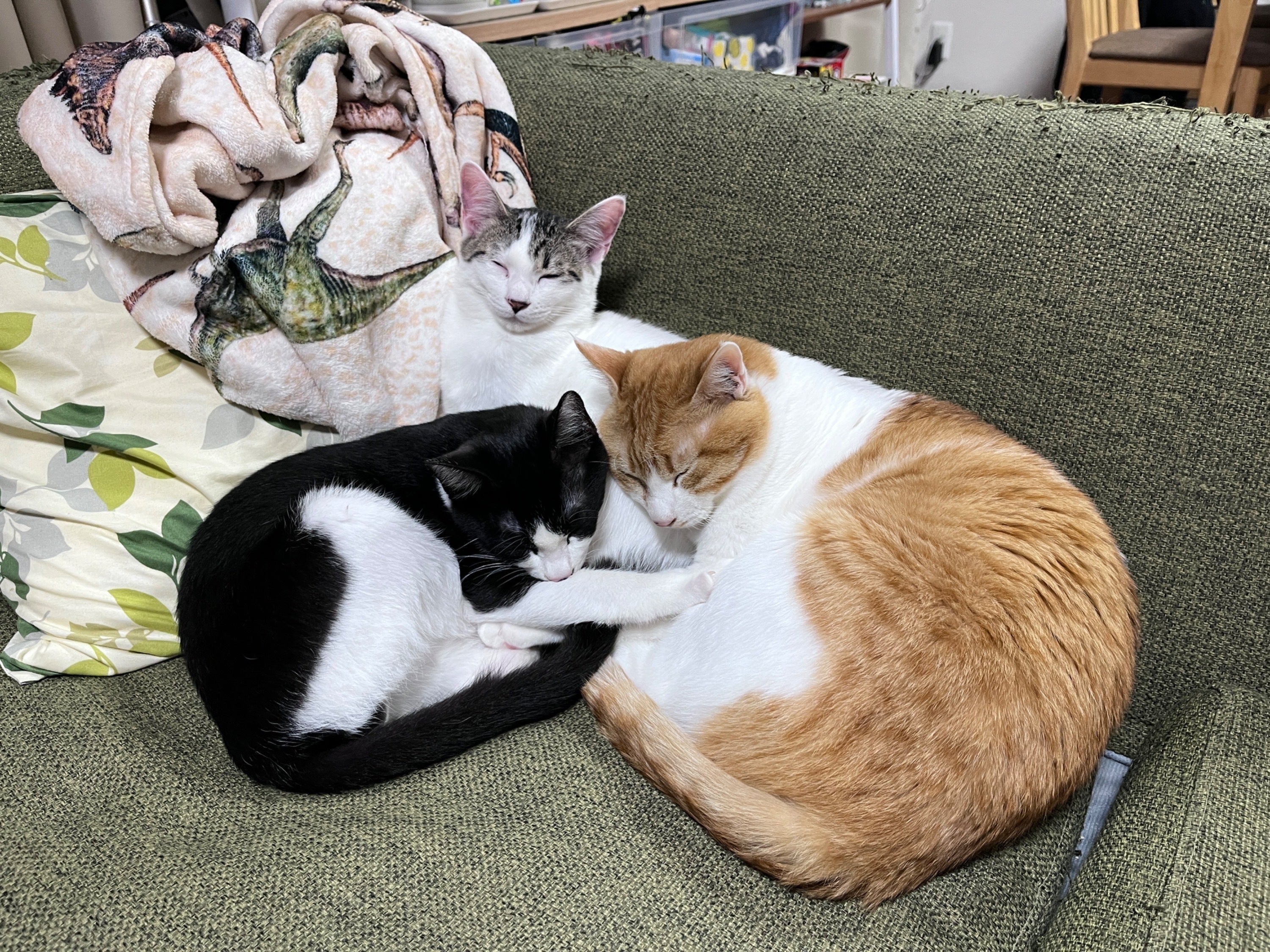 5番目のメイン画像