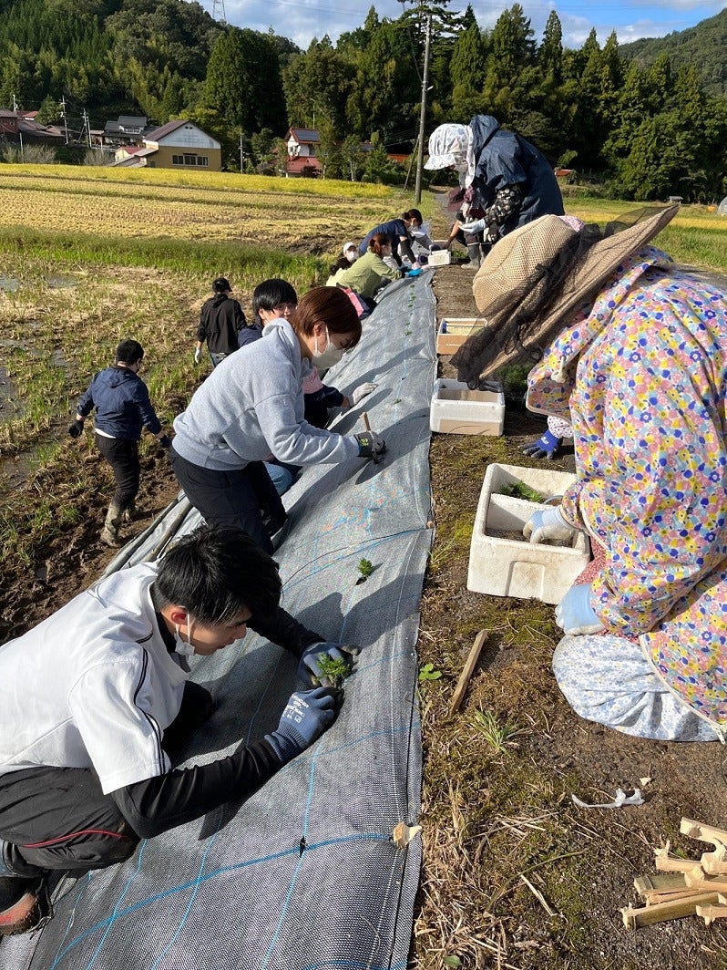 4番目のメイン画像