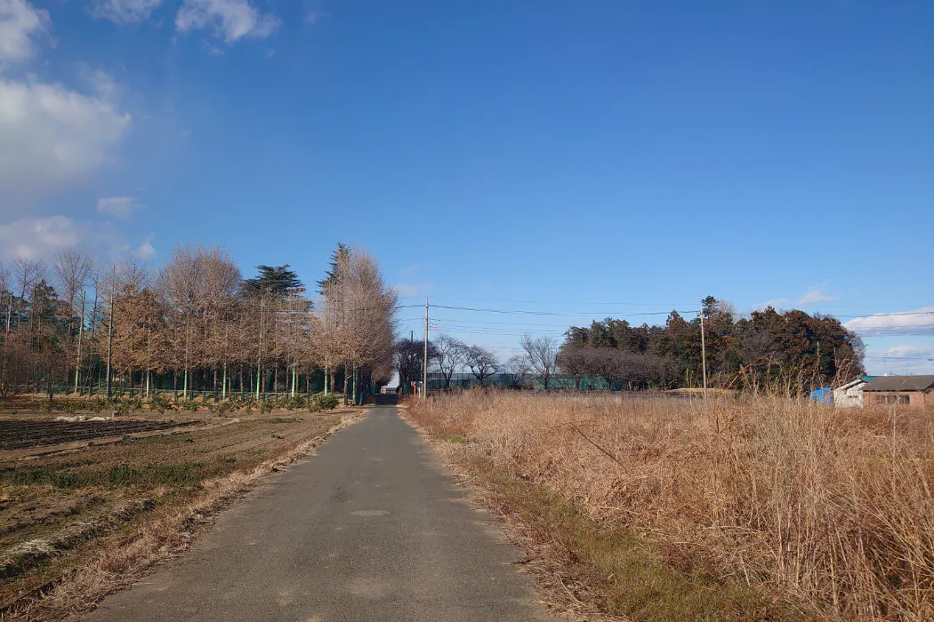 1番目のメイン画像