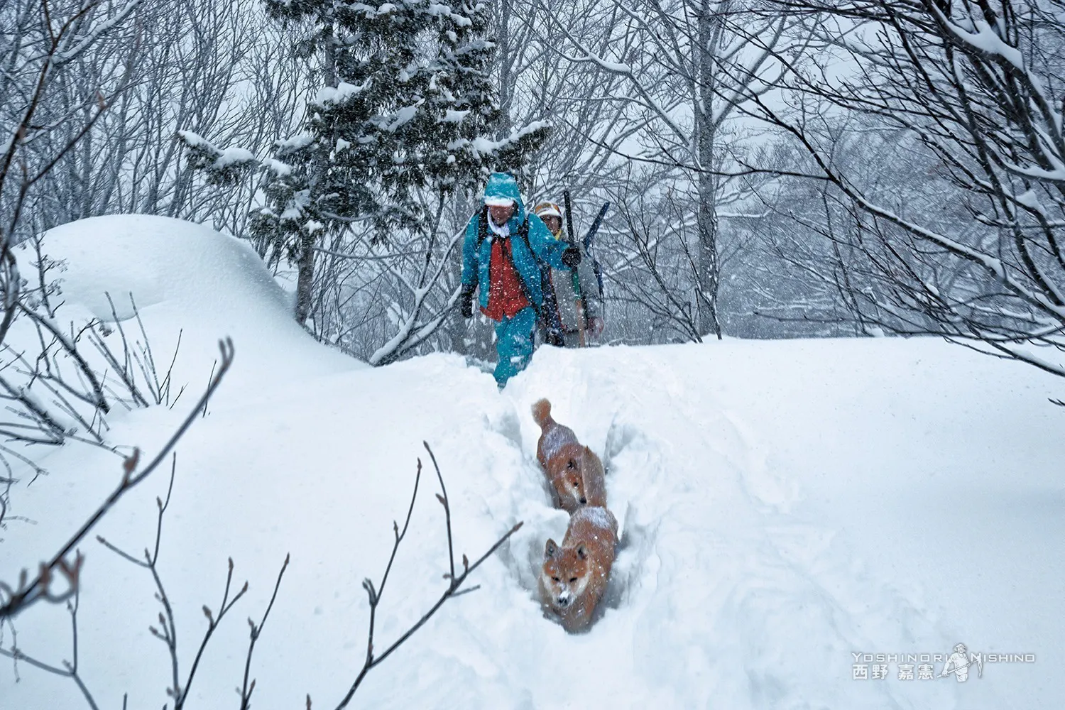 2番目のメイン画像