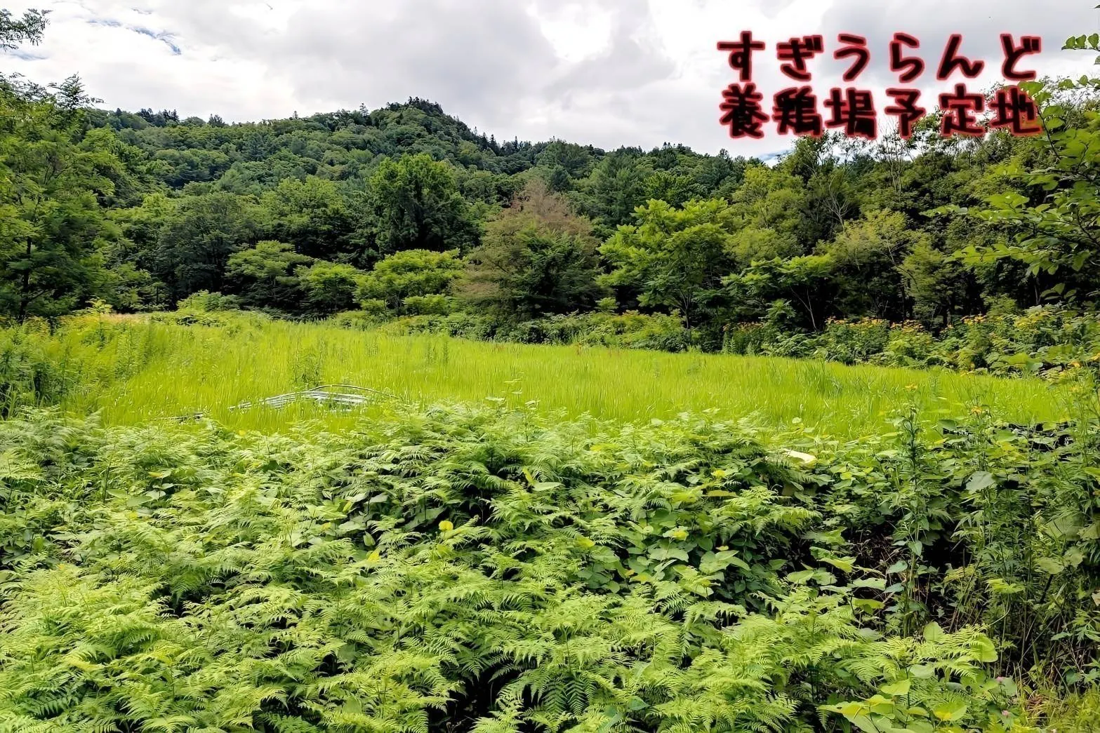 5番目のメイン画像