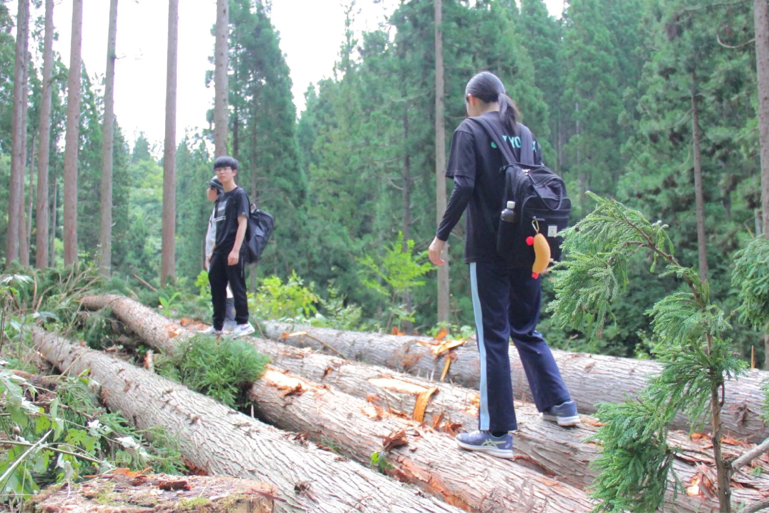 4番目のメイン画像