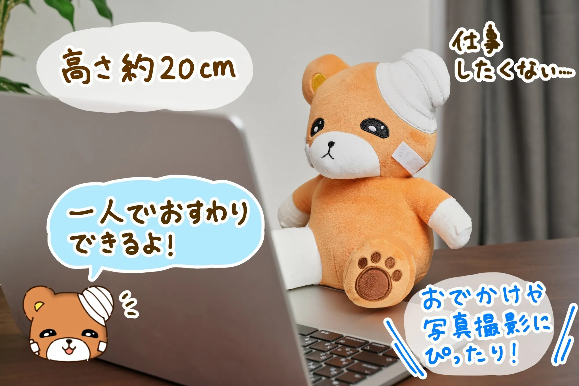 2番目のメイン画像