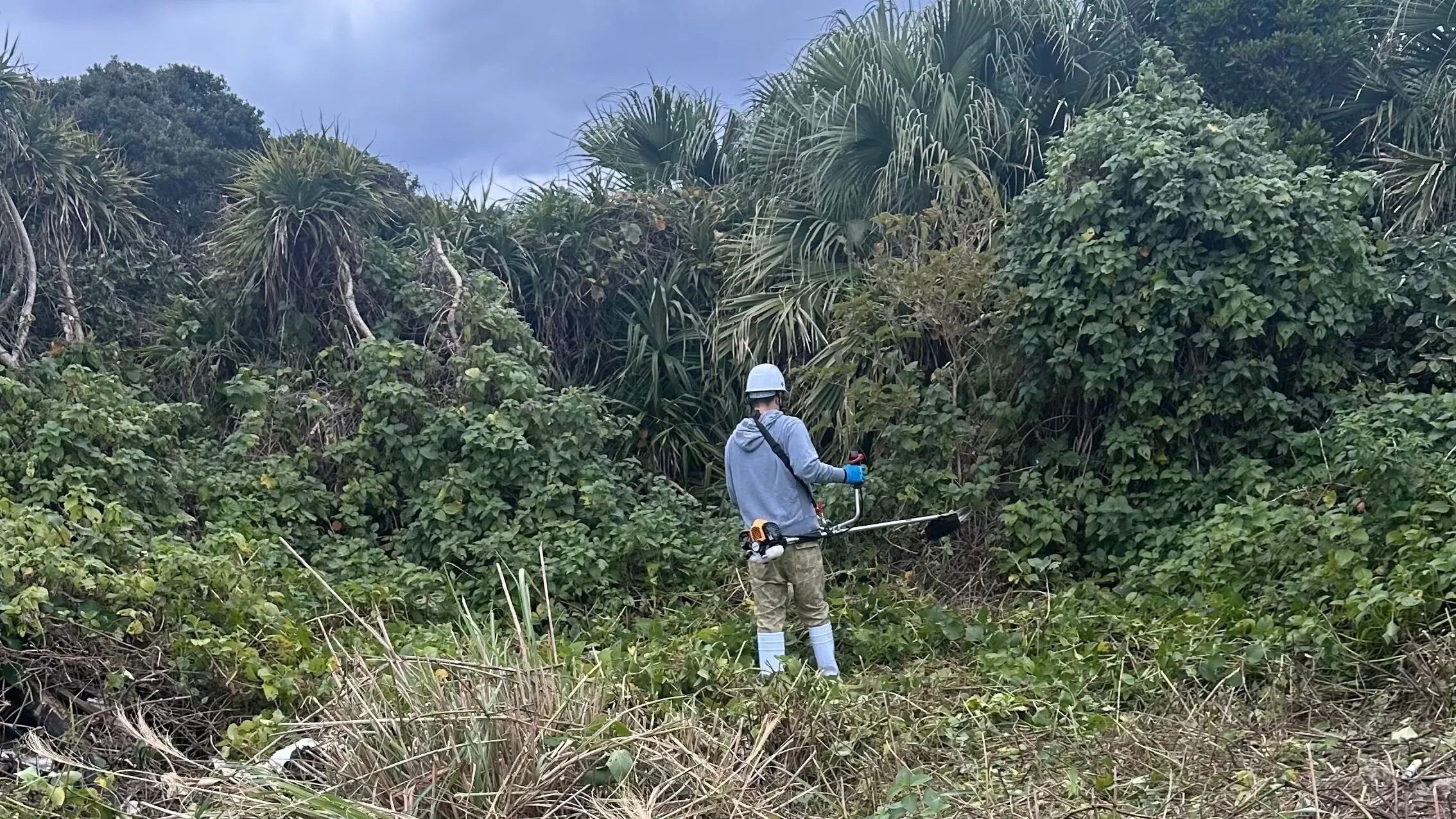 4番目のメイン画像