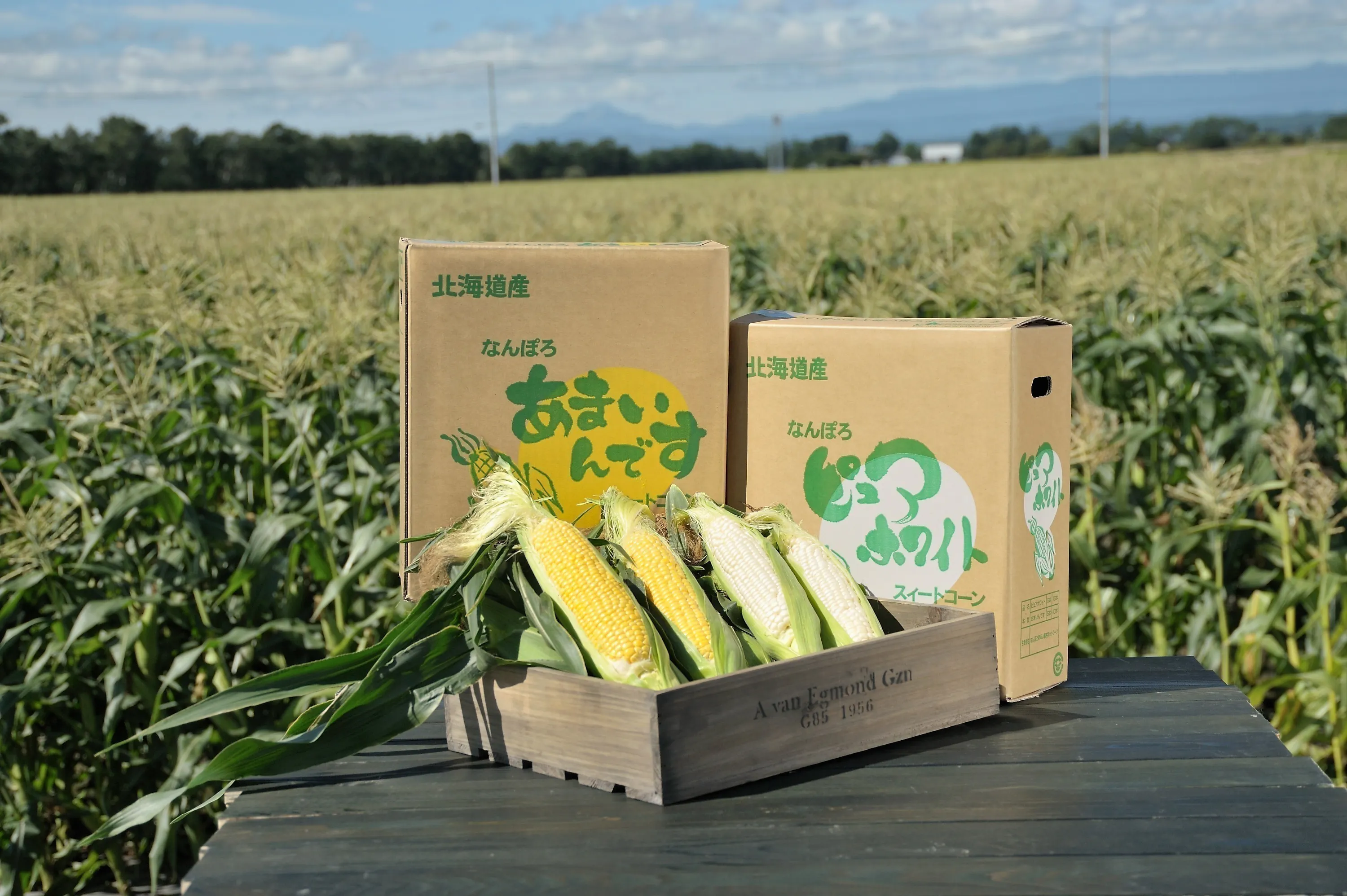 2番目のメイン画像